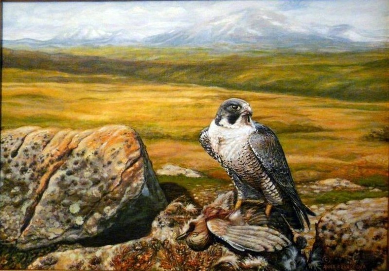 "On The prey"